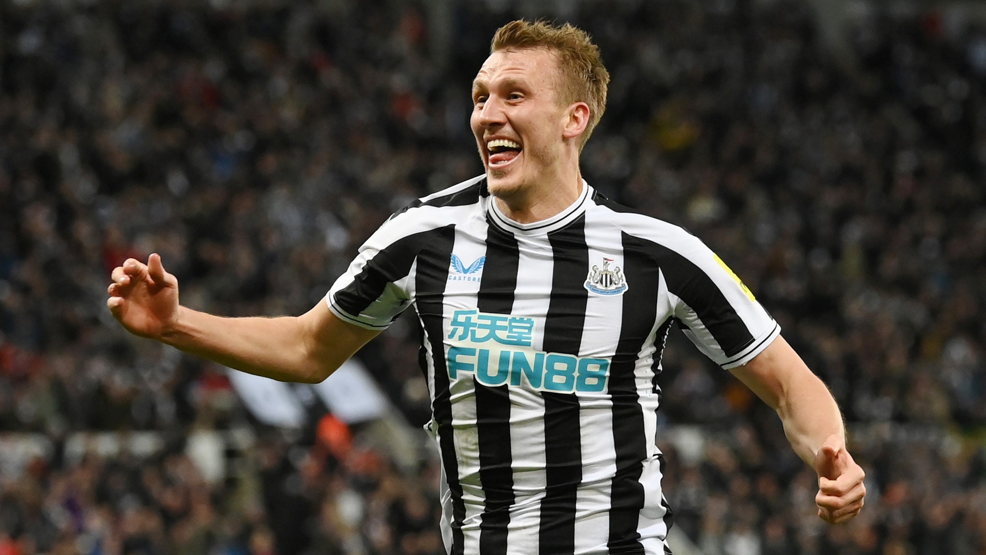 ตัวเลขฟ้อง! นิวคาสเซิลไม่ชนะไบรท์ตัน 6 เกมรวด